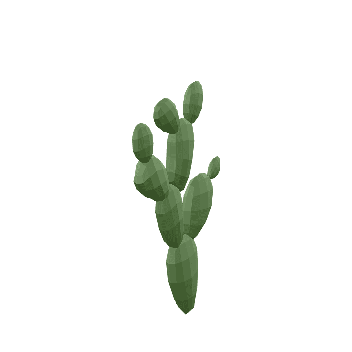 Cactus, Plant, Green 3D model. Free for use. - Image 1