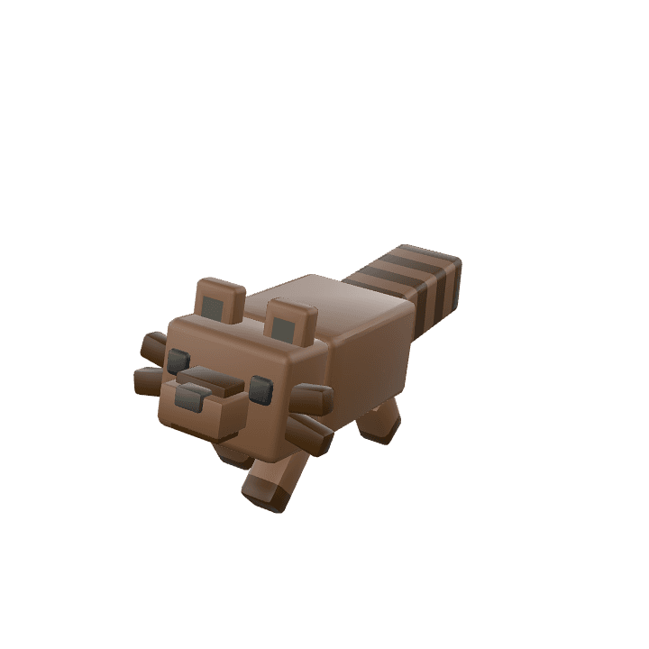 Raccoon, Animal, Grey 3D model. Free for use. - Image 1