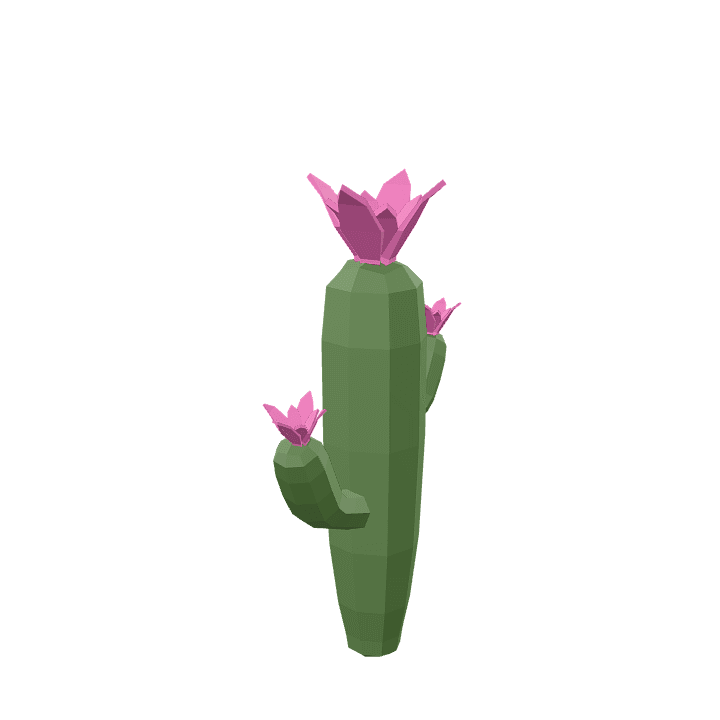 Cactus-flower, Cactus, Flower 3D model. Free for use. - Image 1
