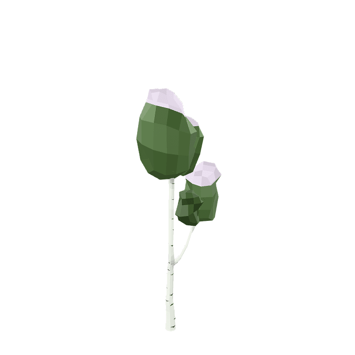 Birch-tree, Snow, Tree 3D model. Free for use. - Image 1