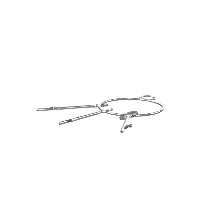 Keys, Metal, Security 3D model. Free for use. - Image 1