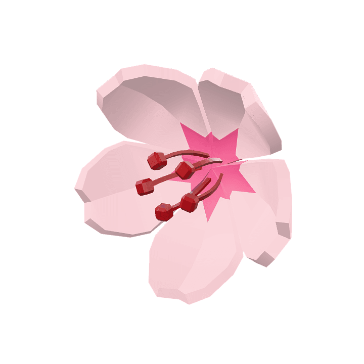 Sakura-flower, Cherry-blossom, Flower 3D model. Free for use. - Image 1