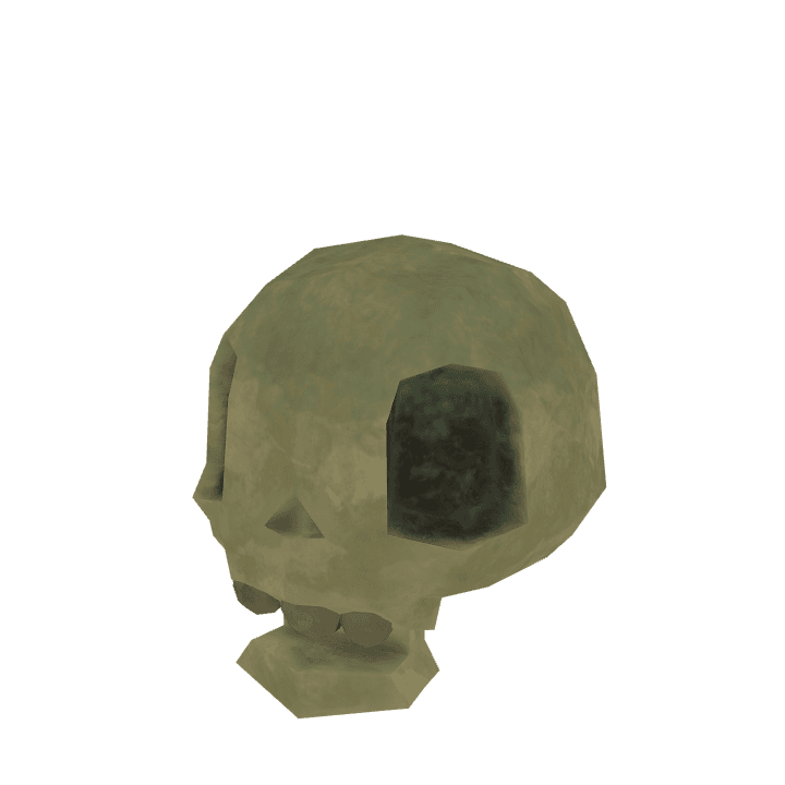 Skull, Bone, Human 3D model. Free for use. - Image 1