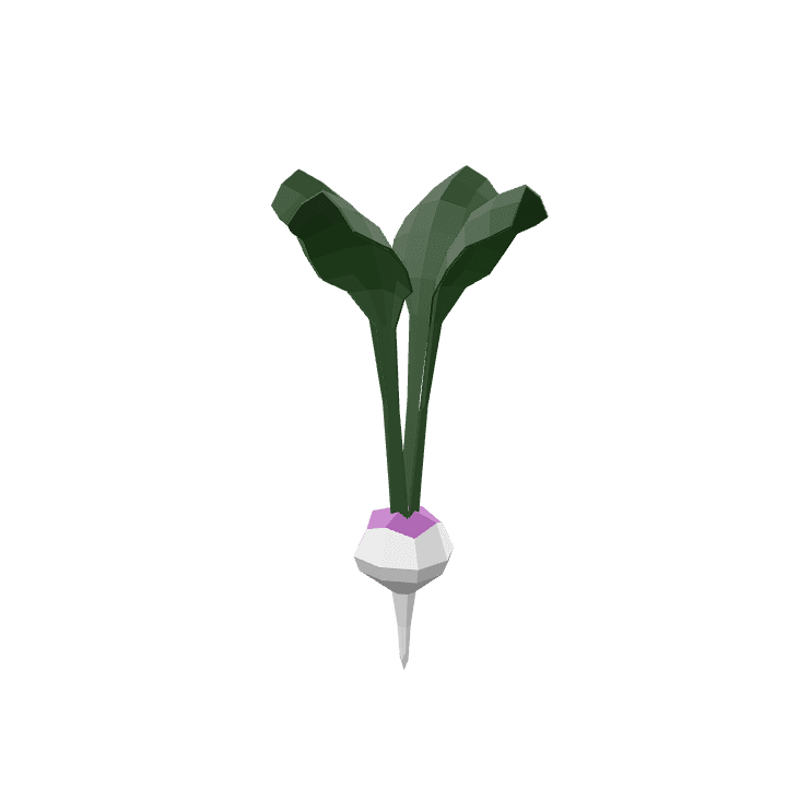 Turnip, Vegetable, Purple 3D model. Free for use. - Image 1