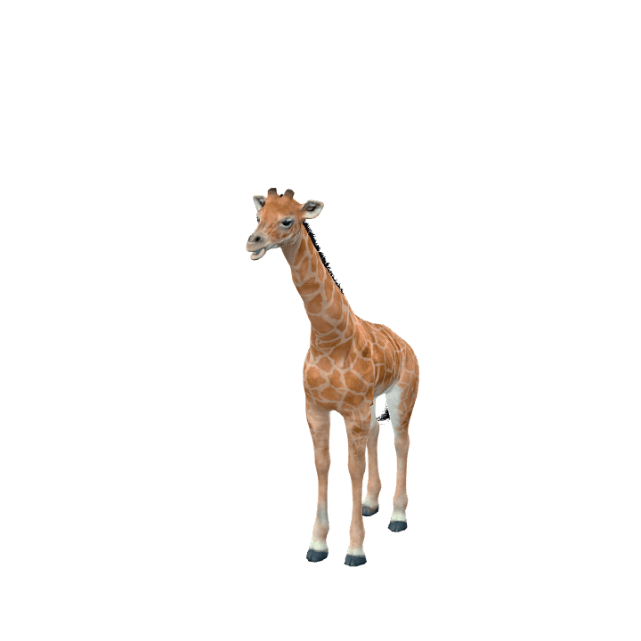 Nature, Mammal, Wildlife 3D model. Free for use. - Image 1