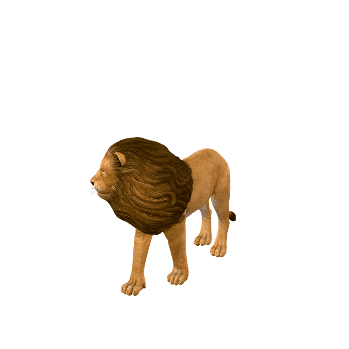 Lion, Animal, Dangerous 3D model. Free for use. - Image 1