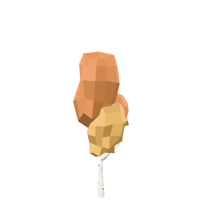 Birch-tree, Autumn, Tree 3D model. Free for use.