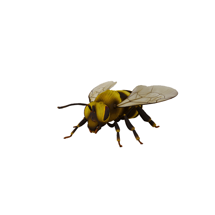 Bee, Nature, Insect 3D model. Free for use. - Image 1