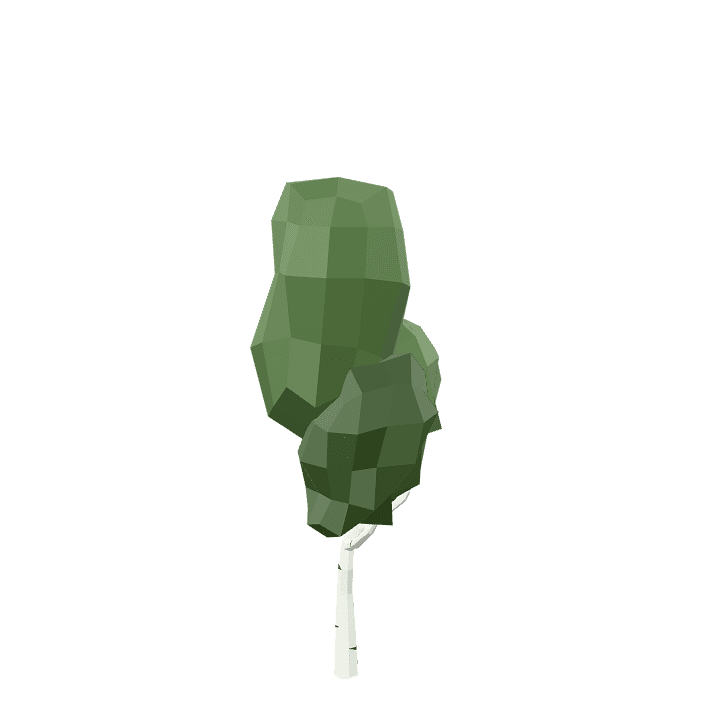 Birch-tree, Tree, Plant 3D model. Free for use. - Image 1
