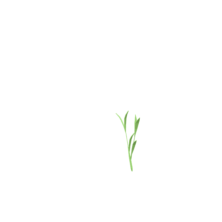Rice, Food, White 3D model. Free for use. - Image 1