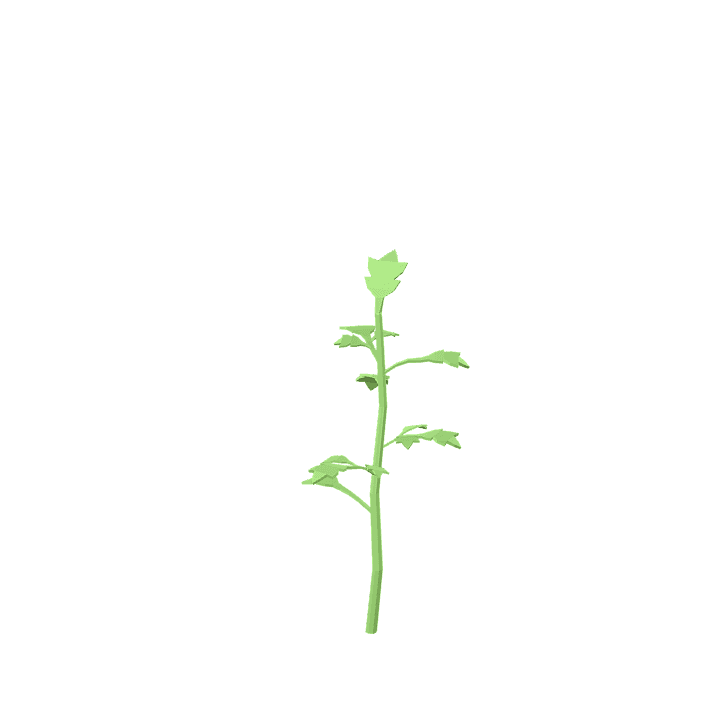 Tomato, Vegetable, Red 3D model. Free for use. - Image 1