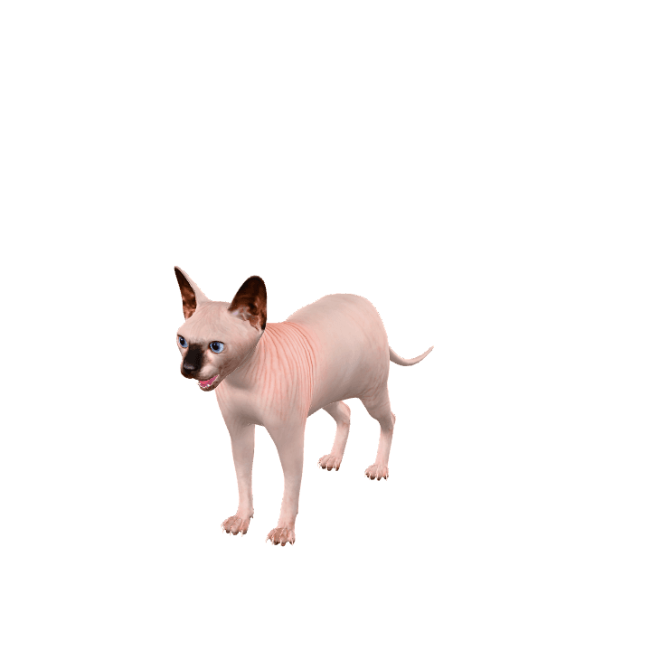 Cat, Pet, Nature 3D model. Free for use. - Image 1