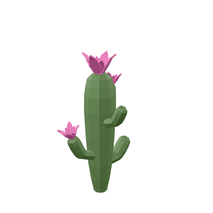 Cactus-flower, Cactus, Flower 3D model. Free for use. - Image 1