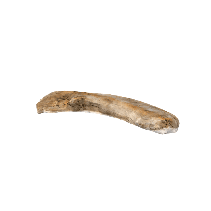 Dead-wood, Branch, Nature 3D model. Free for use.