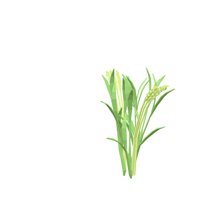 Rice, Food, White 3D model. Free for use. - Image 1