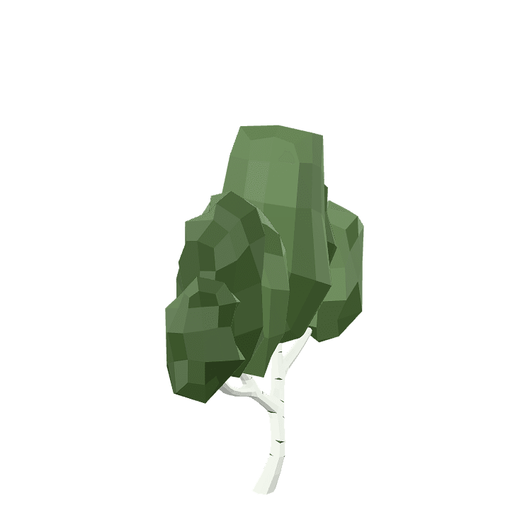 Birch-tree, Tree, Plant 3D model. Free for use. - Image 1