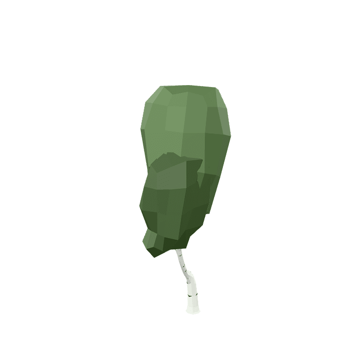 Birch-tree, Tree, Plant 3D model. Free for use.
